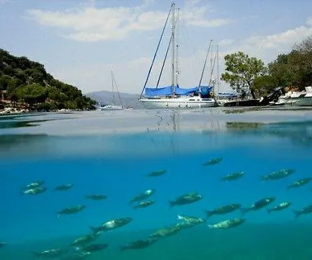 Muc Yachting 2 Πλωτό κατάλυμα